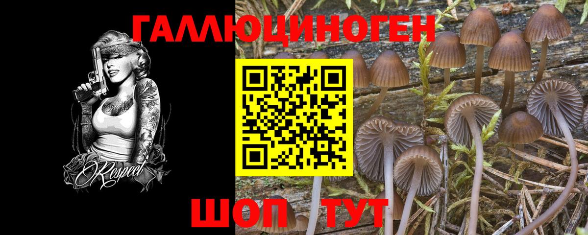 Псилоцибиновые грибы мухоморы Краснодар