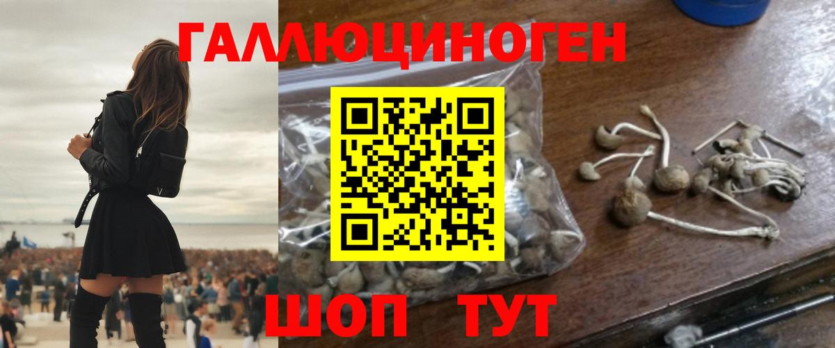 Псилоцибиновые грибы MAGIC MUSHROOMS  Вход с VPN  Краснодар 
